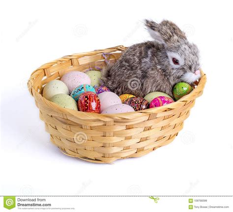 Easter Bunny Rabbit And Eggs In A Basket Stock Image Image Of Sunday