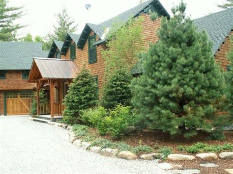 14 Beautiful Pine Tree Landscaping Ideas And Designs For Your Yard