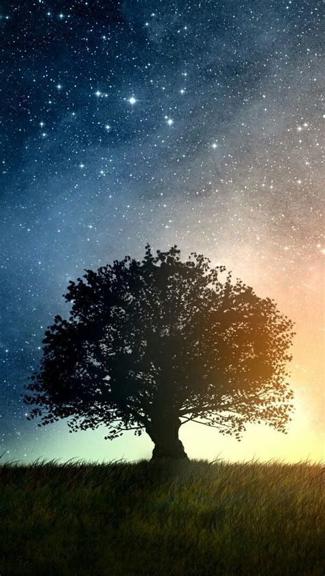 Lone Tree Under The Starry Sky Wallpaper Backiee