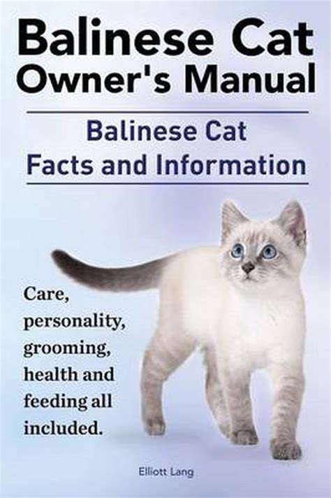 Balinese Cat Owners Manual Balinese Cat Facts And Information Care