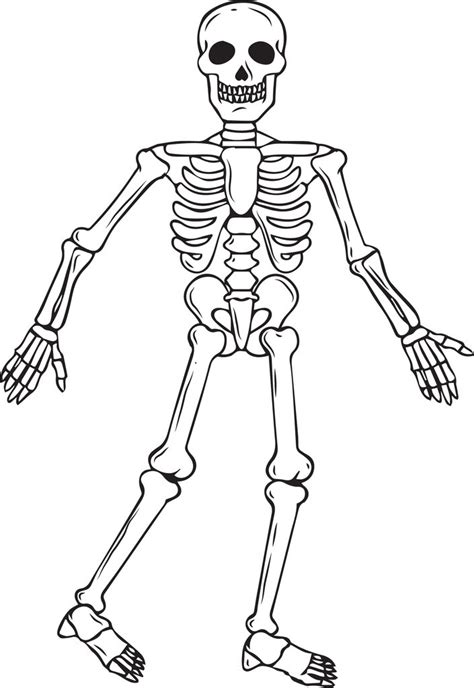 You are free to share or adapt it for any purpose, even commercially under the following terms: Printable Skeleton Halloween Coloring Page for Kids #2 ...
