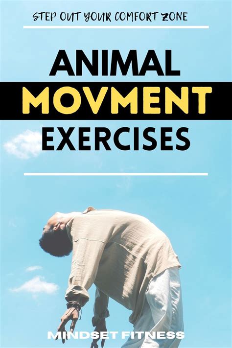 Animal Movement Exercises Mindset Fitness In 2021 Workout Plan For