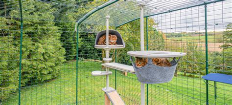 Catios And Outdoor Cat Enclosures Omlet