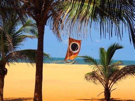 Best Things To Do In Negombo Attractions In Negombo Places To Visit
