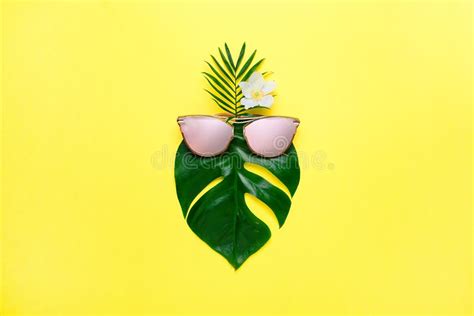 Tropical Summer Concept Fashionable Hipster Monstera In Trendy Glasses