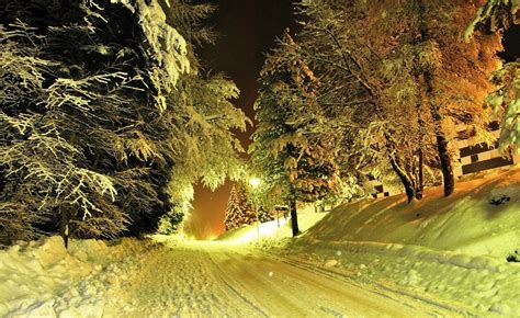Photography Nature Landscape Winter Trees Night Lights Road Snow Wallpapers Hd Desktop