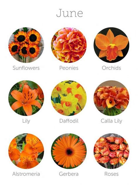 March is considered early spring, and there are numerous types of flowers that are in season during this time. Wedding flowers in season - June which is equivalent to ...