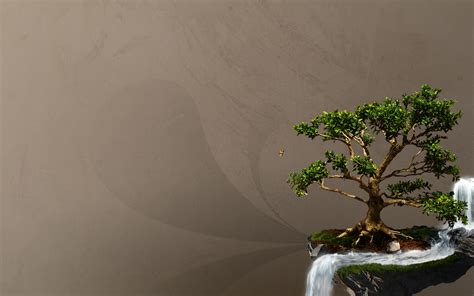 🔥 63 Bonsai Tree Wallpaper Wallpapersafari