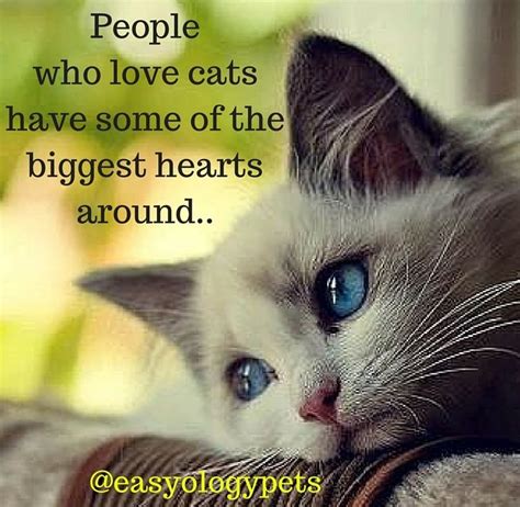 People Who Love Cats Have Some Of The Biggest Hearts