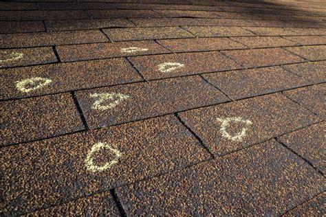 Signs Of Hail Damage On Your Roof How To Tell Roof Maxx