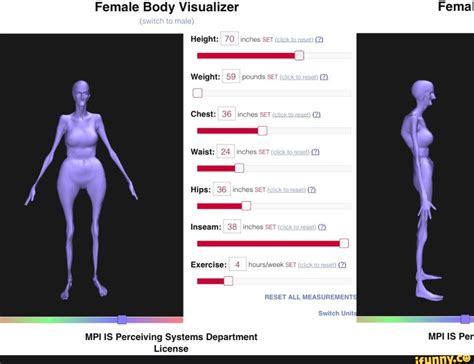Female Body Visualizer Fenial Switch To Male Height 70 Inches Set 2