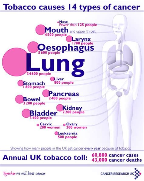 types of lung cancer from smoking