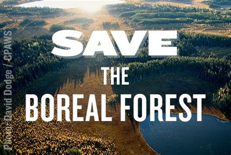 Please Sign Help Fight Climate Change By Saving The