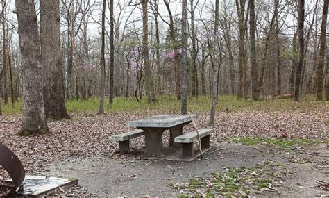 Site 058 Mammoth Cave Campground