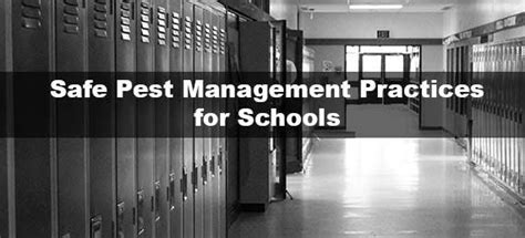 Safe Pest Management Practices For Schools New Brunswick Nj Patch