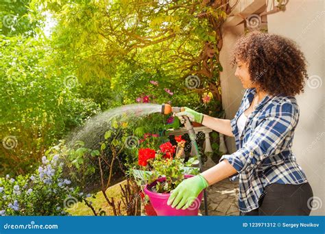 Happy African Girl Watering Plants In The Garden Stock Photo Image Of