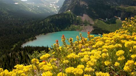 Photographing Tips For Spring Flowers Distinctly Montana Magazine