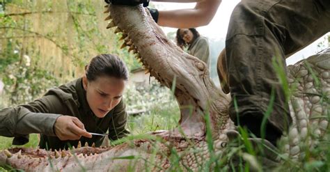 ‘annihilation How That Terrifying Bear Was Designed Indiewire