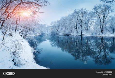Winter Forest On River Image And Photo Free Trial Bigstock