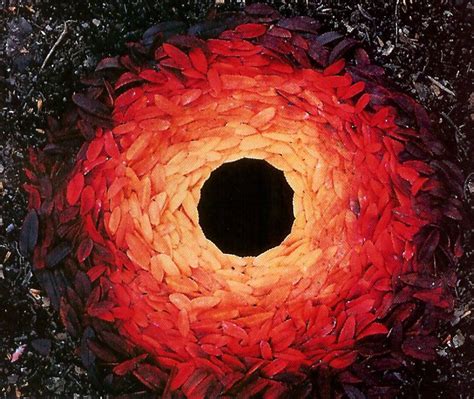 Andy Goldsworthy Andy Goldsworthy Autumn Leaves Art Artist Inspiration