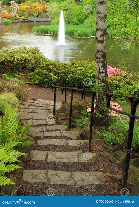 Peaceful Garden Pond Stock Image Image Of Stairway Peaceful 70706263