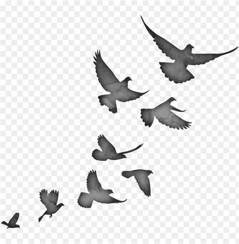 Birds Flying Silhouette Png Image With Transparent Background Toppng