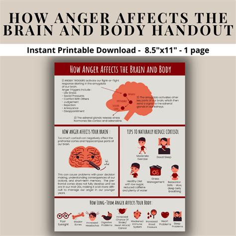 Anger Management Emotional Regulation Frustration How Anger