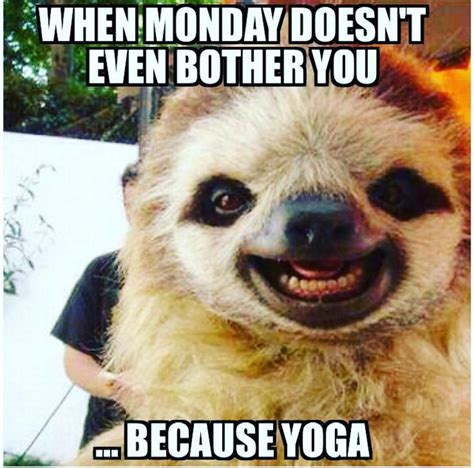 Monday Yoga Funny Yoga Memes Yoga Funny Workout Memes