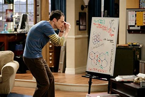 Watch The Big Bang Theory Season 3 Episode 14 Online Tv Fanatic