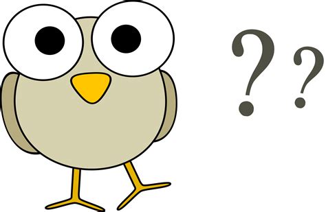 Animation Question Mark Questions Text Cartoon Png Pn