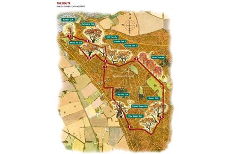 Savernake Forest Map Forest Map Forest Go Outdoors