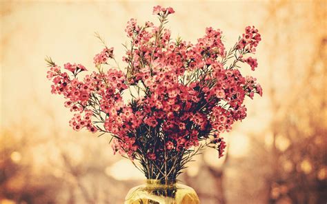 4k Spring Bouquet Wallpapers High Quality Download Free