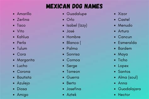 Mexican Dog Names 350 Catchy Mexican Dog Names Ideas 2024