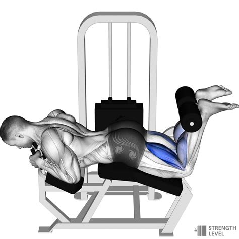 Lying Leg Curl How To Strength Level