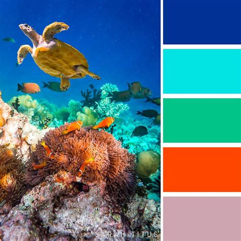 Ocean Color Palette Take A Dive Under The Sea With These Color Hot