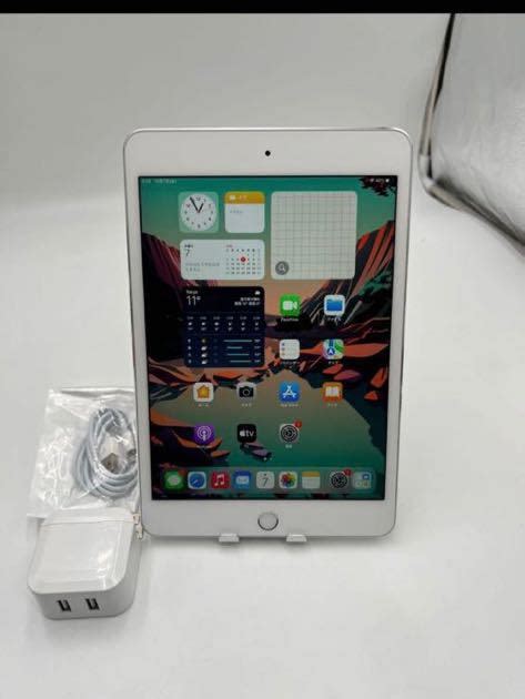 ヤフオク Ipad Mini 4 A1538 128gb Wifi 超美品