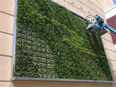 Ultimate Guide To Living Green Walls What Are They Living Green