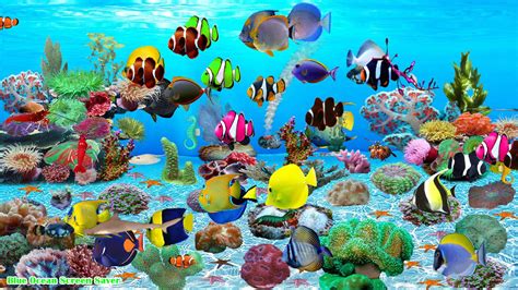 Best Aquarium Screensaver For Windows 10 Qosafreak
