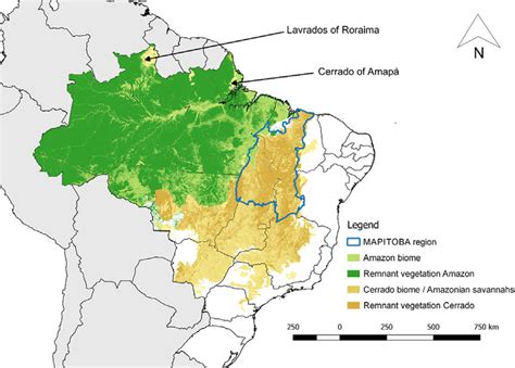 Amazon Rainforest Brazil Map