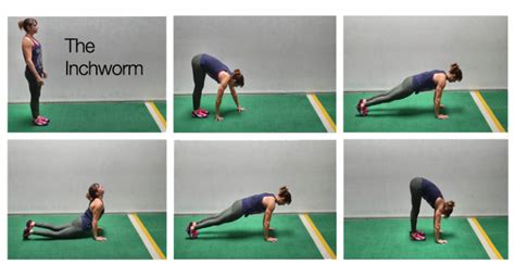Crawling Workouts In 2017 Will Have You On Your Hands And Knees