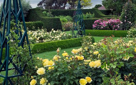Rhs Garden Hyde Hall Essex Uk Rose Garden With Windbreaks In Background Dry Garden Garden