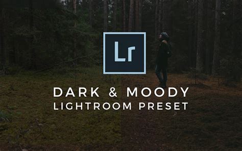 You gotta set the exposure for every image to get the best out of this pack. FREE Dark & Moody Lightroom Preset
