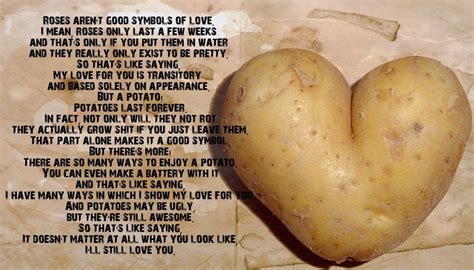 31 best flirty knock knock jokes to win your sweetheart. roses aren't good symbols of love / heart :: potato ...