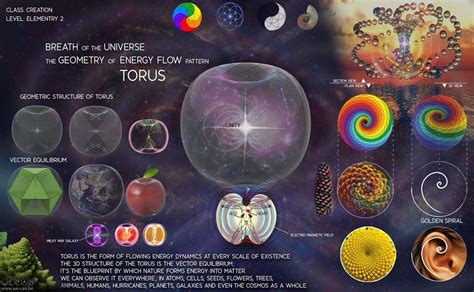 Torus The Most Foundational Energy Flow Patterning In The Universe From Atoms To Galaxies