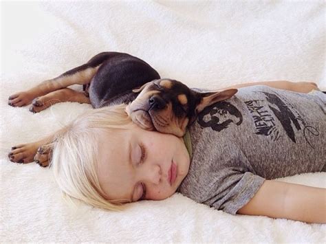 A Toddler And A Puppy Take A Nap 15 Pics