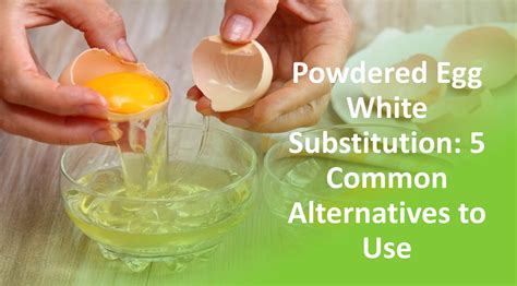 Powdered Egg White Substitution 5 Common Alternatives To Use