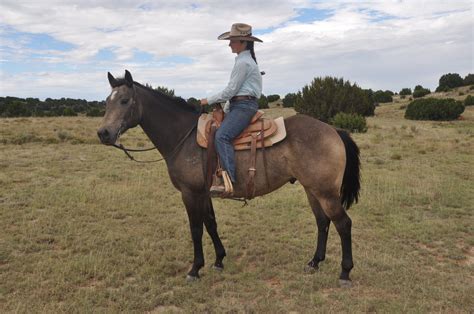 No their is only red roans and blue roans, black roans and grayroans the above answer is very incorrect. Ranch Gelding Buckskin Roan