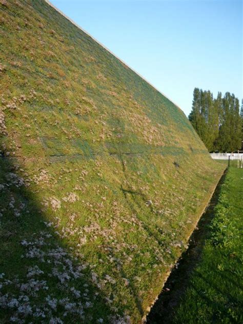 Steep Sloped Green Roofs Projects Vegetal Id
