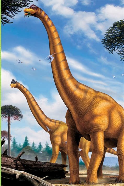 Argentinosaurus Vs Brachiosaurus