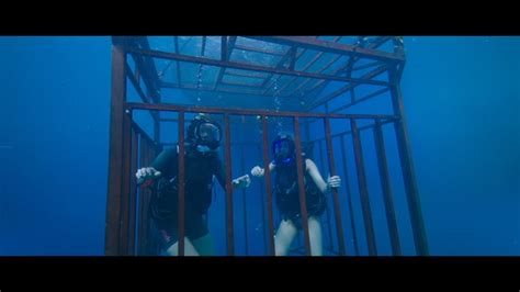 Mandy Moore And Claire Holt In 47 Meters Down Horror Actresses Photo